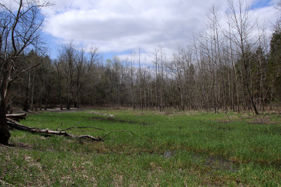 Sinkhole pond