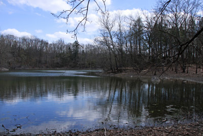 Duck Pond (a sinkhole pond)