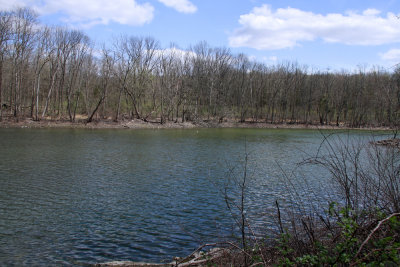 Duck Pond (a sinkhole pond)