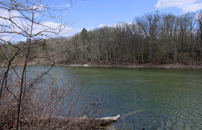 Duck Pond (a sinkhole pond)