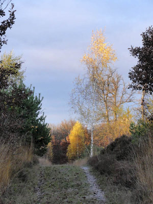 Soir d'automne en fort_03865r.jpg