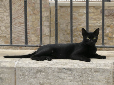 Melilla - Noir noir_03031r.jpg
