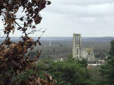 Larchant - Basilique St Mathurin_03938r.jpg