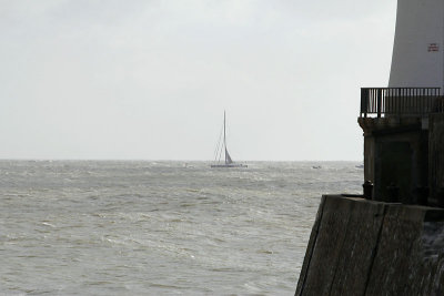 Vende Globe 2012 - Arrive de SynerCiel Jean Le Cam_2931r.jpg