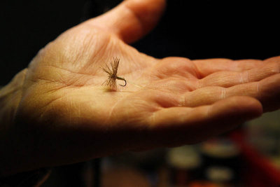 Mouche - Paysanne claire adapte_5606r.jpg