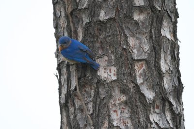 _MG_1844.jpg