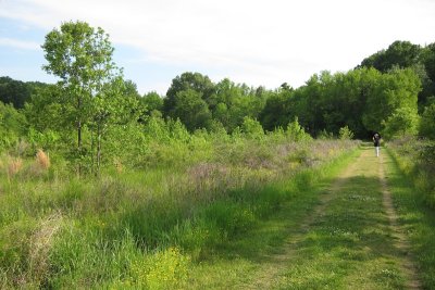 S90_2809.jpg