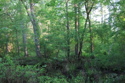 S90_2906.jpg