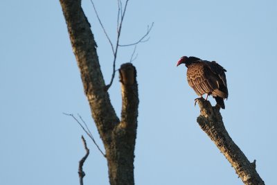 _MG_2261.jpg
