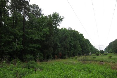 S90_3476.jpg