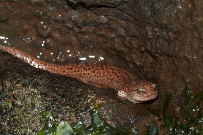 _MG_2307.jpg