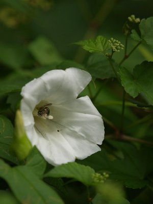 P8192283sm.jpg