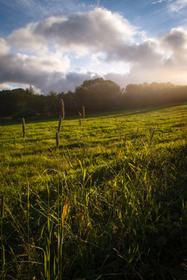 evening light