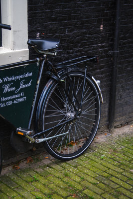 Black Bicycle On Greenish Pavement