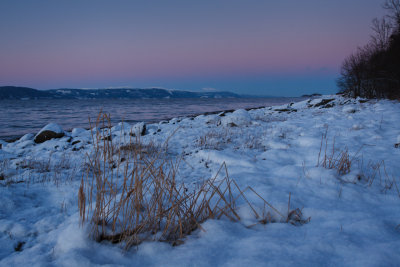 Straws On A Winter Shore