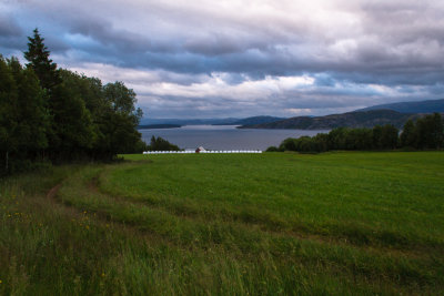 Field With A View