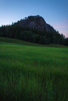 Summer Night Corn Field