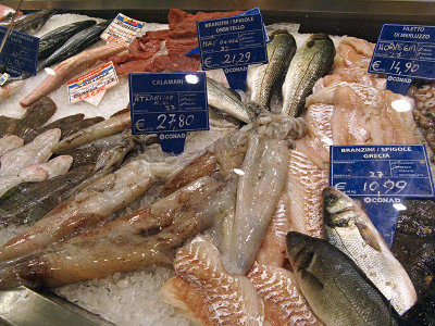 Sea bass (fromTuscany,Campania,Greece), Norwegian cod, calamari, dogfish, sole  .. 7145