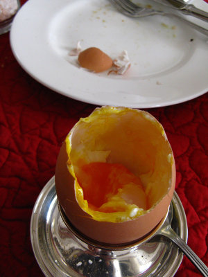 Half eaten soft boiled egg .. 4816