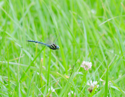  Stocklycke ng stergtland 20 Juli 2012