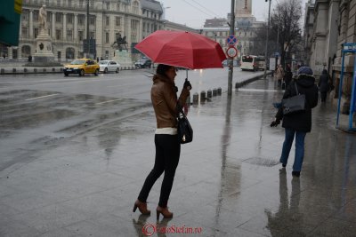 g2/31/798231/3/148753204.j7pV8nZz.jpg