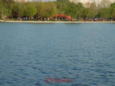 g2/31/798231/3/149902194.MTOLH6KL.jpg