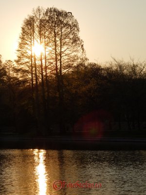 g2/31/798231/3/149902731.C5CFPqej.jpg