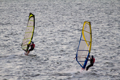 IMG_4319.jpg