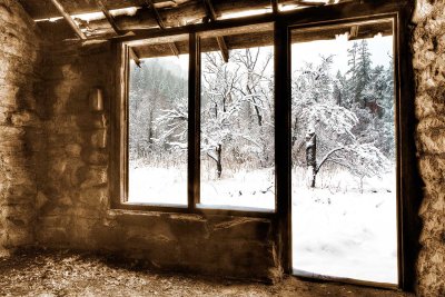 West-Fork-Cabin-9837.jpg