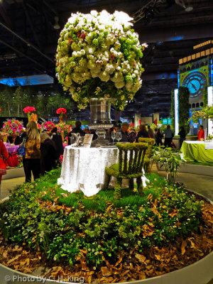 IMG_0212-Edit.jpg
