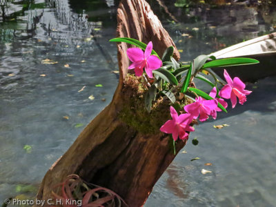 IMG_0226-Edit.jpg