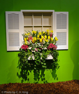 Window Box