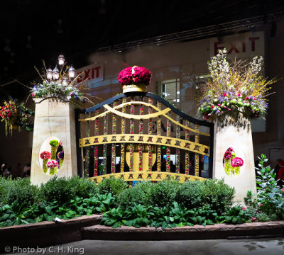 IMG_0269-Edit.jpg