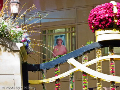 Queen Elizabeth looks over the flower show