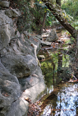 Creek at Common Ford Park