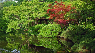 Japanese Garden-Ft Worth Arboretum