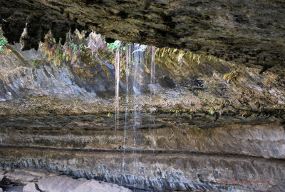 Hamilton Pool Park-Waterfall