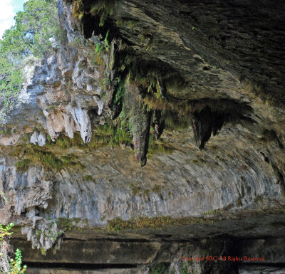 Hamilton Pool Park-Front of Cave Ceiling