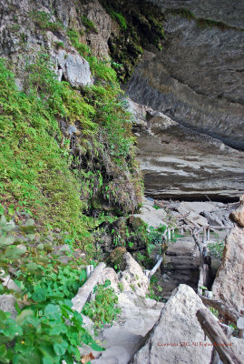 Hamilton Pool Park-the Grotto