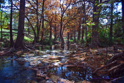 Cypress Creek - Wimberley Texas 