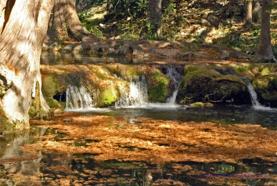 Cypress Creek Wimberley Texas