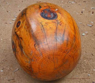 the wooden egg