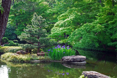 Japanese Garden-Ft Worth Arboretum