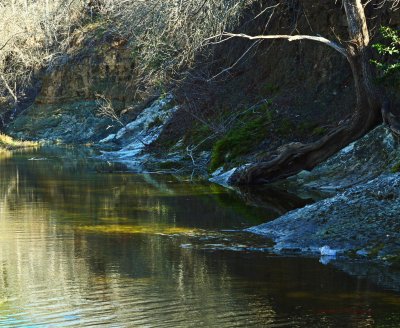 Mckinney Falls