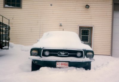 1967 Mustang Gt fastback 390 