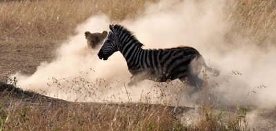 masai_mara