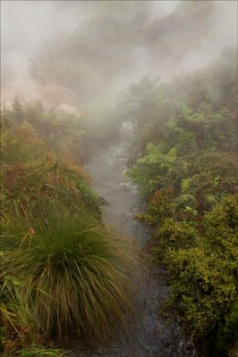 Thermal Valley, Taupo