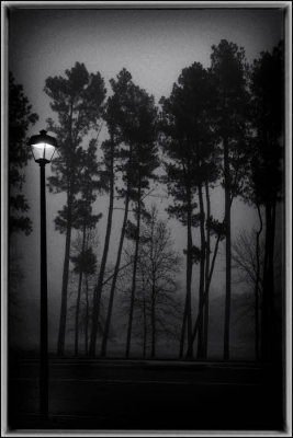 12/04/12 - Dark, Misty Morning