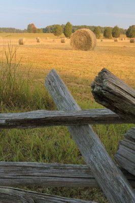 8/21/06 - Hay Field