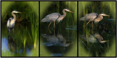 8/28/06 - GBH Triptych